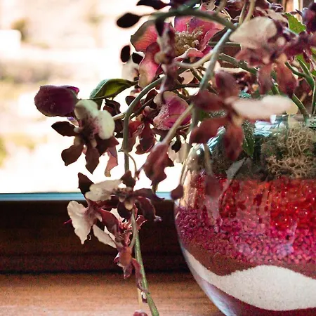 Appartamento Grazia *